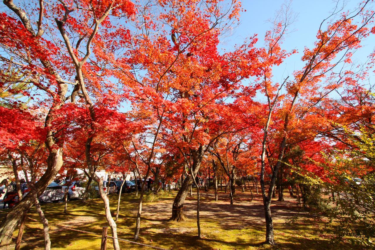 一棟貸切り宿 Guesthouse 嵯峨嵐山 교토 외부 사진